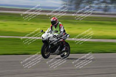 media/Feb-19-2024-Lets Ride (Mon) [[eb90a18fbf]]/Group C/Front Straight/